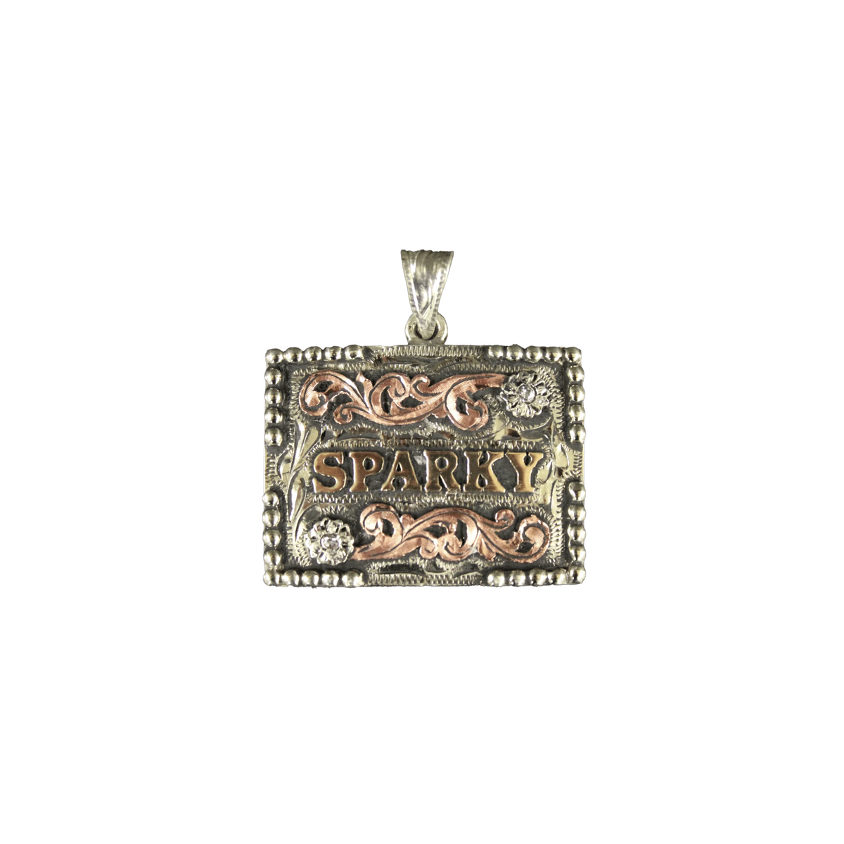 Placa de identificación especial para perros image